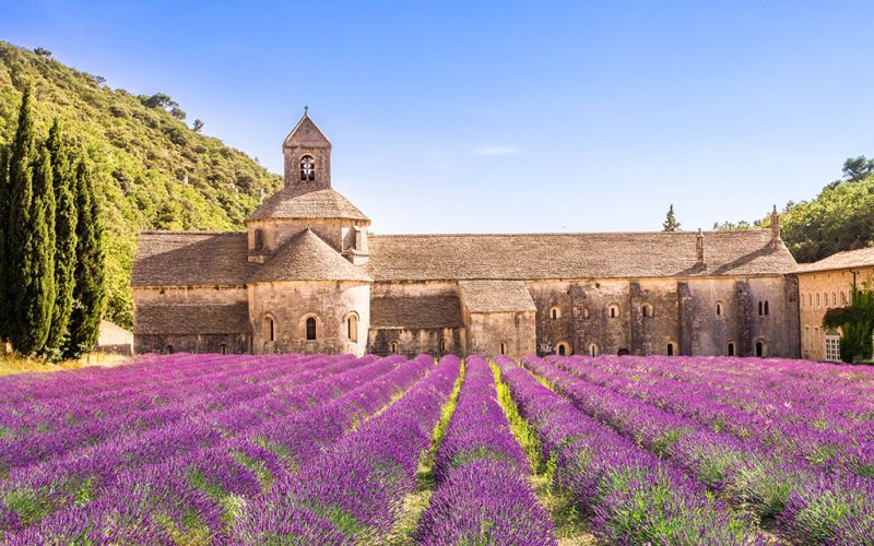 Abbaye-Senanque-Luberon
