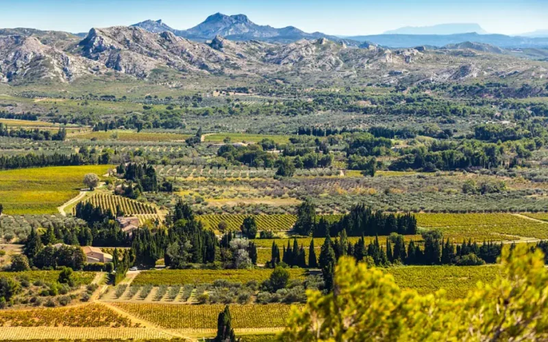 les-alpilles